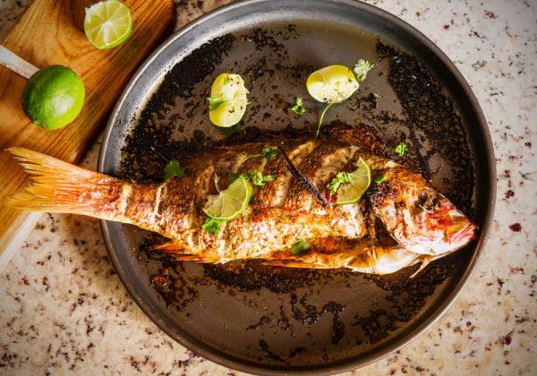 Grilled Snapper